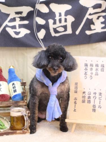 20240622ねねちゃん